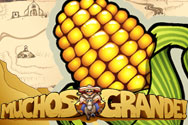 New game review of Muchos Grande video slots