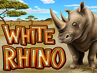 New game review of White Rhino video slots
